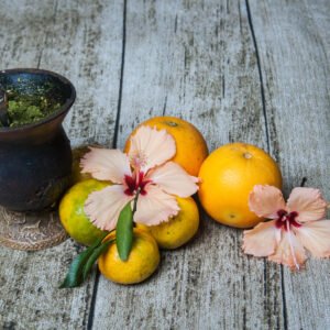 Maté Citron Myrtille